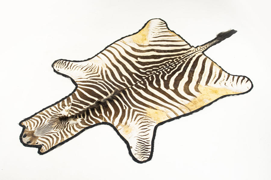 Jakttrofé, Zebraskinn, 270x180 cm