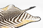 Jakttrofé, Zebraskinn, 270x180 cm