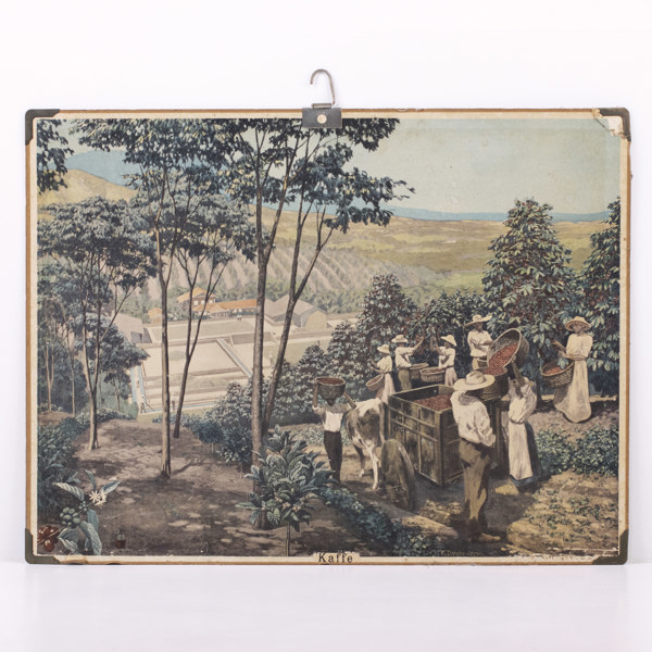 Äldre skolplansch, "Kaffe", 85x64 cm