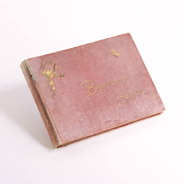 Brevkortsalbum, med vykort