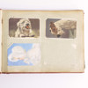  Brevkortsalbum, med vykort