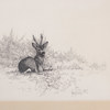 Bengt Lilja, inramat tryck, motiv med rådjur, 62 x 51 cm