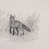 Bengt Lilja, inramat tryck, motiv med räv, 64 x 54 cm