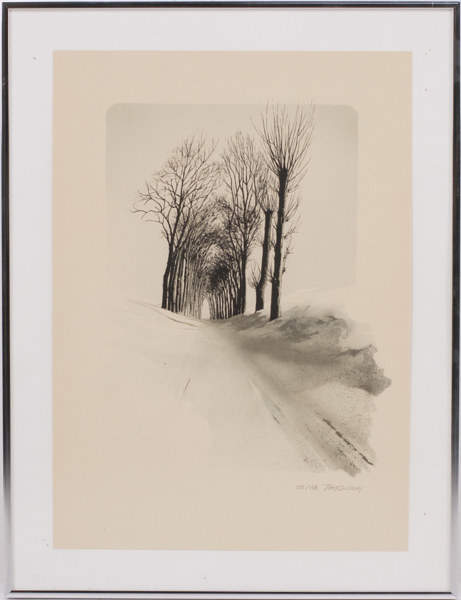 Tom Olsson, litografi, 155/168, signerad, 39x51 cm