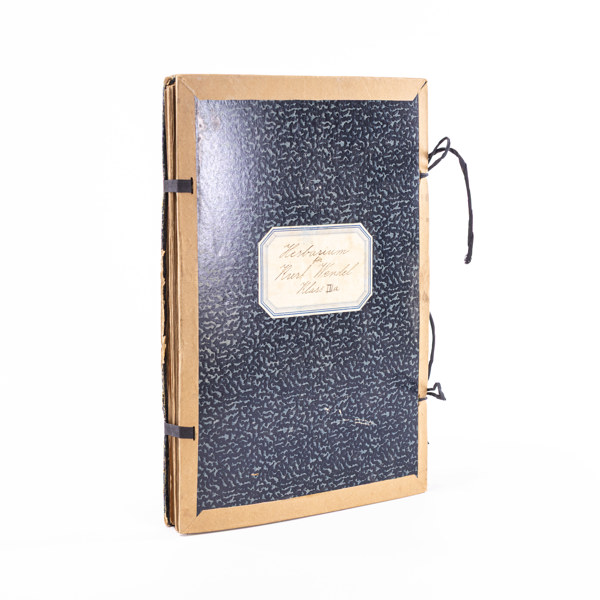 Herbarium, svenska växter