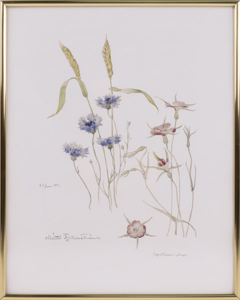 Märta Måås-Fjetterström, (e.), tryck, 41x51 cm