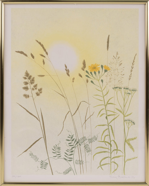 Carin Backmark, litografi, signerad, numrerad 135/275, 41 x 51 cm