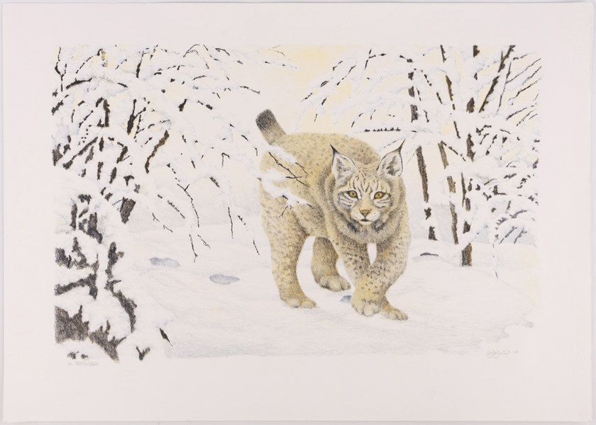 Leif Liljeblad, litografi, XXXIV/XXXVI, signerad, 65x47 cm