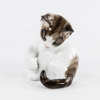 Figurin, kattunge, Rosenthal, höjd 10,5 cm