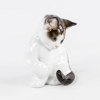 Figurin, kattunge, Rosenthal, höjd 10,5 cm