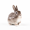 Figurin, kanin, 2477, B&G, höjd 9 cm