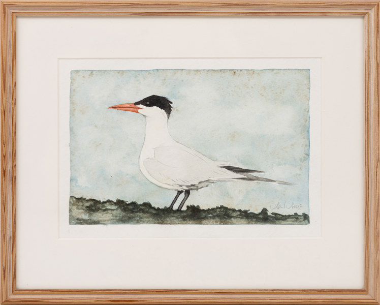 Oidentifierad konstnär, akvarell, motiv med skräntärna, signerad, 41 x 33 cm