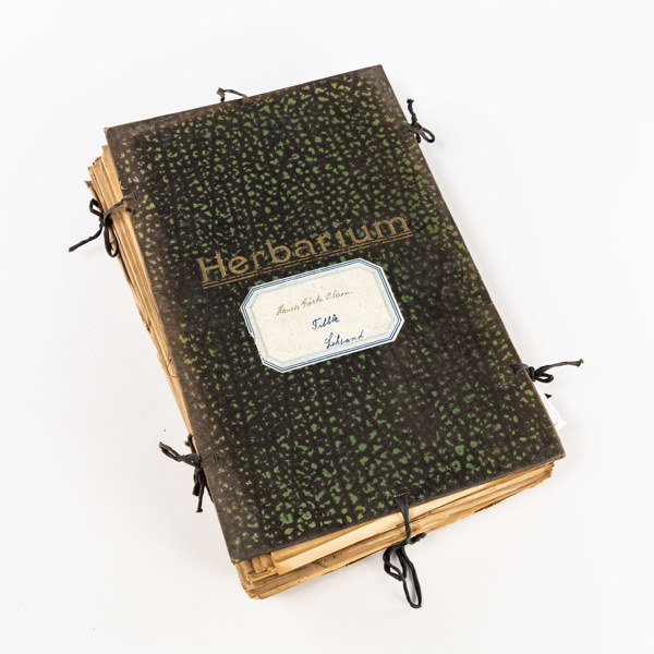 Herbarium, Sverige, 1930-tal