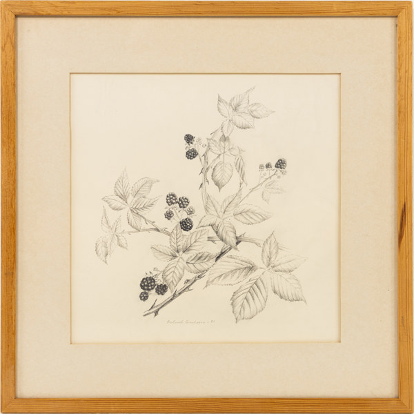 Gertrud Carlsson, teckning, signerad, 42 x 42 cm