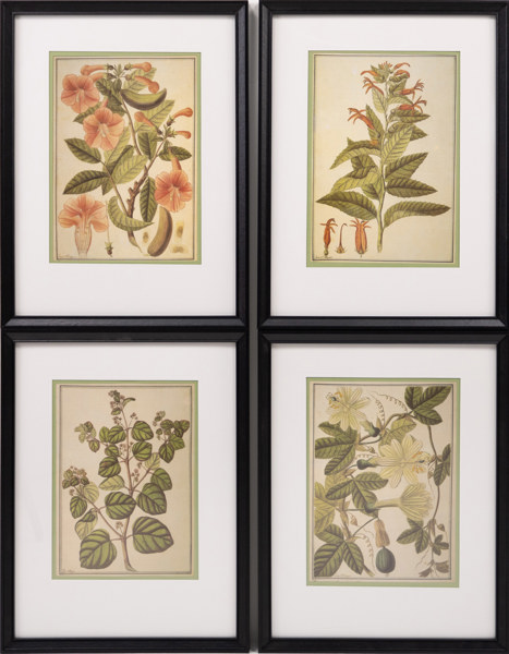 Inramade tryck, 4 st, 32,5x43 cm